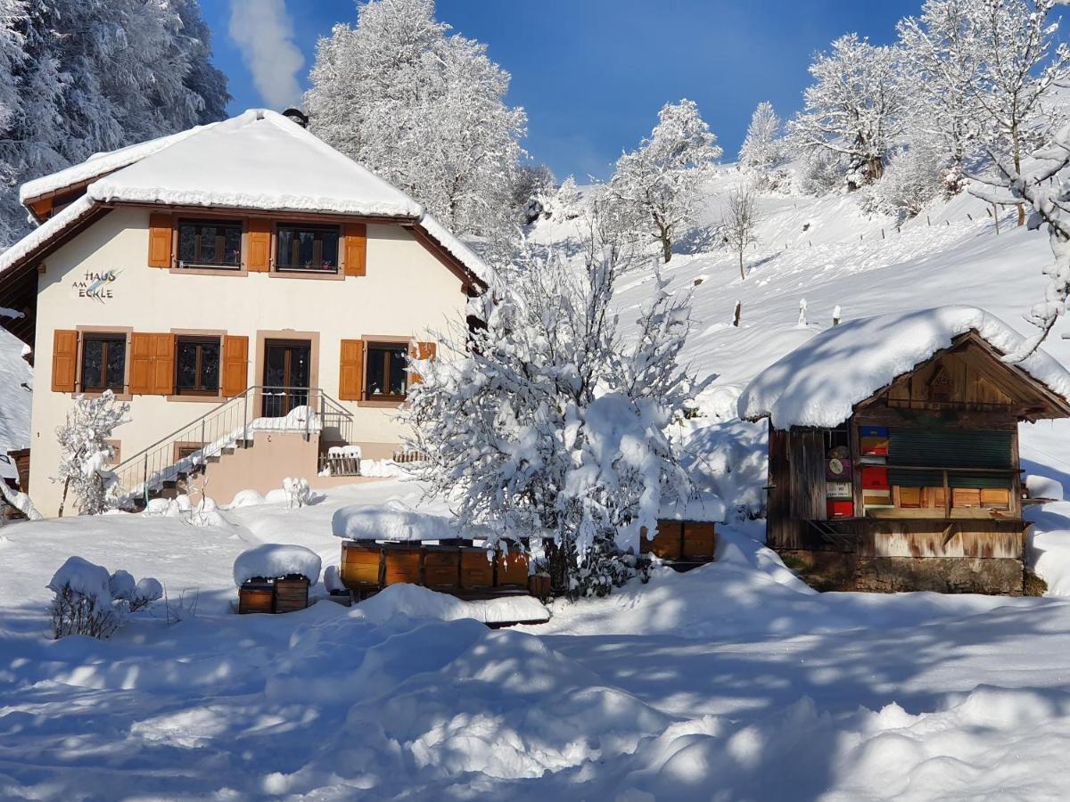 Haus Am Eckle Apartman Kleines Wiesental Kültér fotó