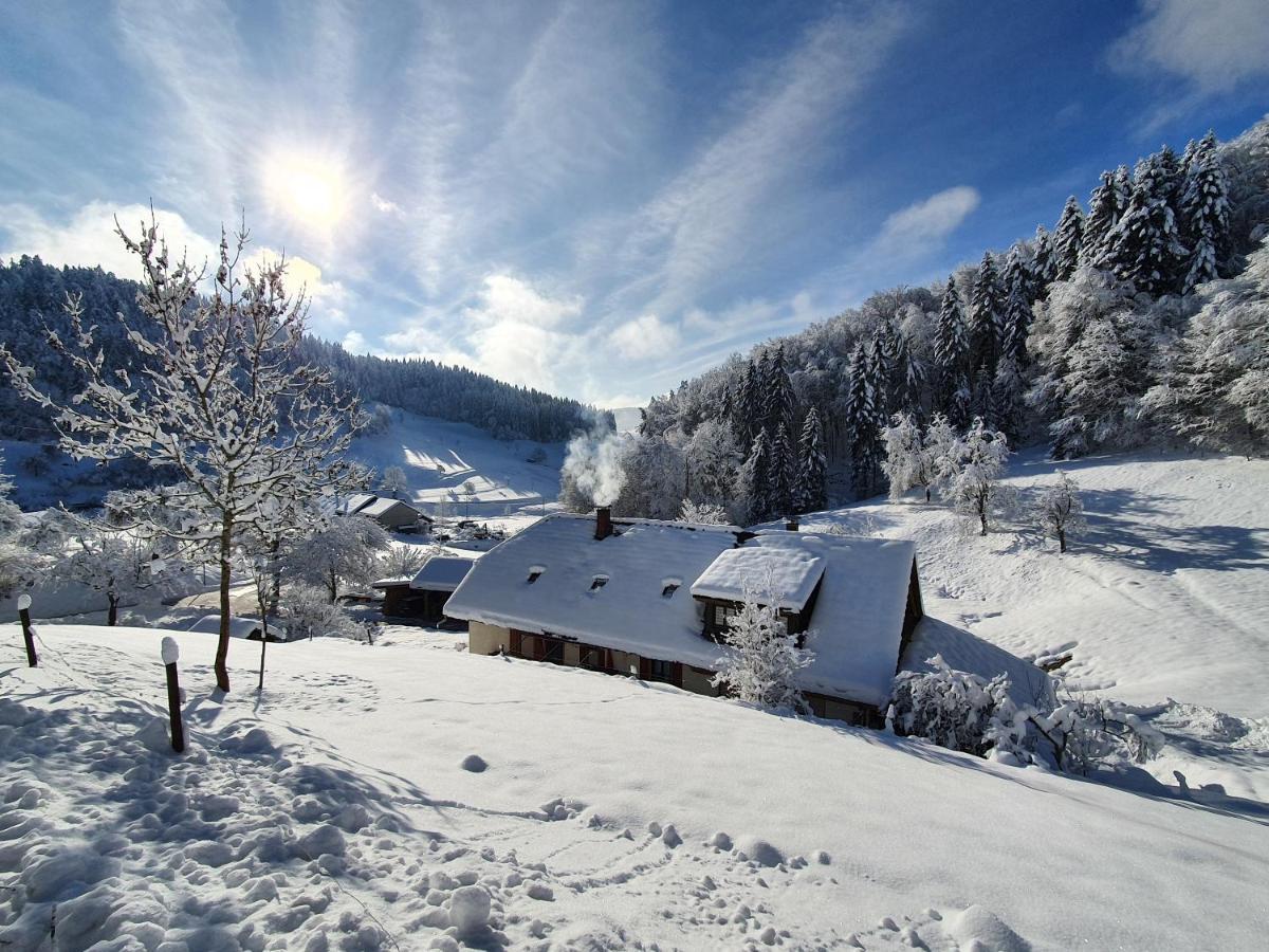Haus Am Eckle Apartman Kleines Wiesental Kültér fotó